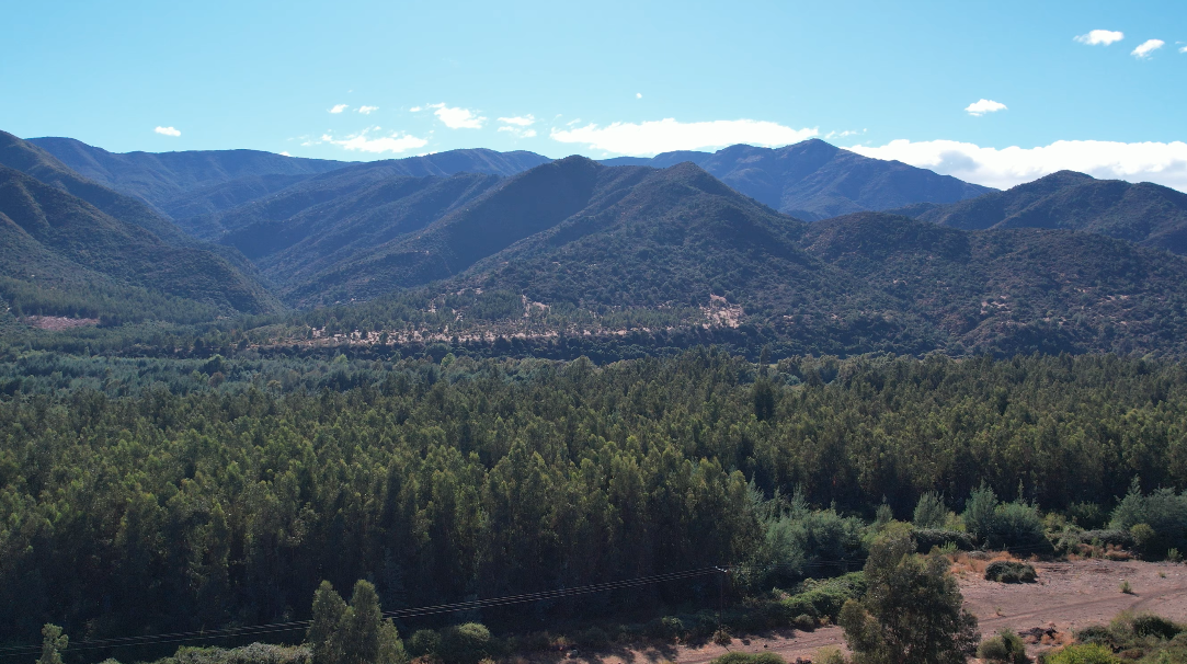 Captura de pantalla 2026-03-24 a la(s) 10.07.06 p.m.