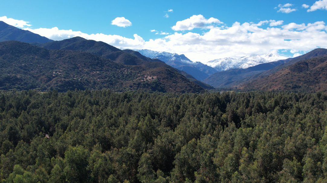 Captura de pantalla 2026-03-24 a la(s) 10.07.41 p.m.