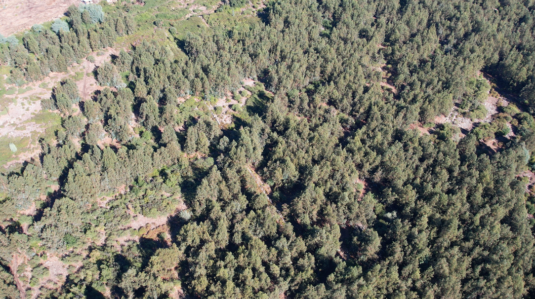 Captura de pantalla 2026-03-24 a la(s) 10.08.15 p.m.