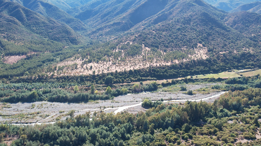 Captura de pantalla 2026-03-24 a la(s) 10.08.37 p.m.