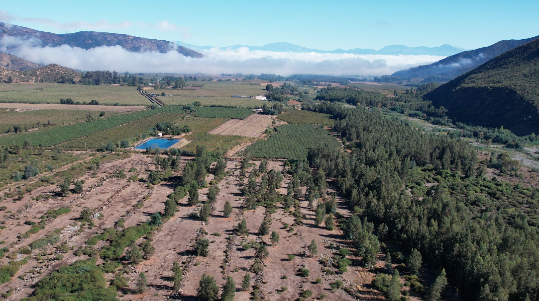 Captura de pantalla 2026-03-24 a la(s) 10.09.12 p.m.