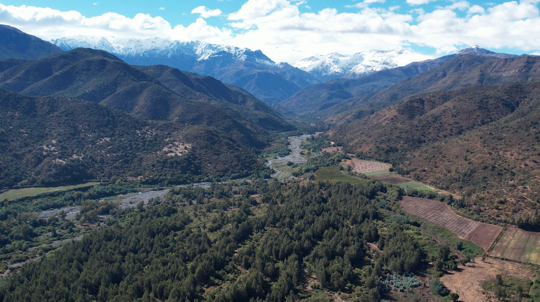 Captura de pantalla 2026-03-24 a la(s) 10.09.42 p.m.